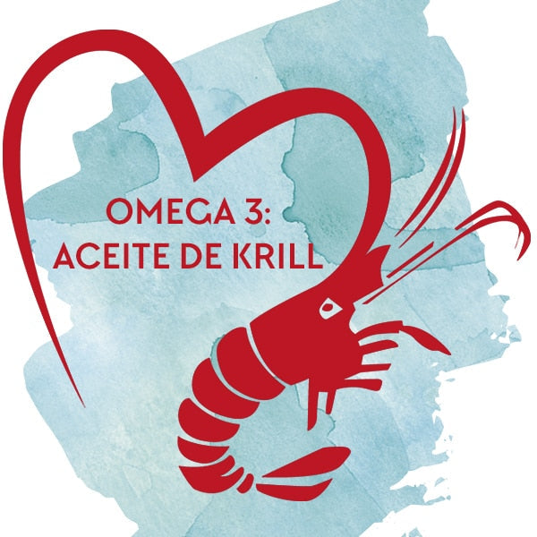 OMEGA 3: Acetita de Krill, gracias a ese pequeño crustáceo