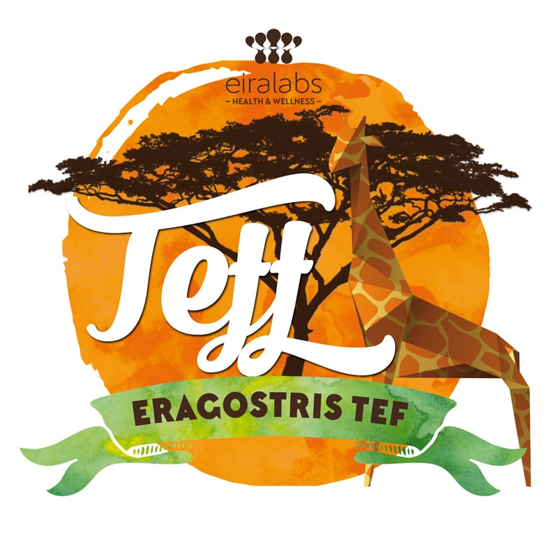 Teff: el cereal perdido para mejorar tu estilo de vida y ganar salud