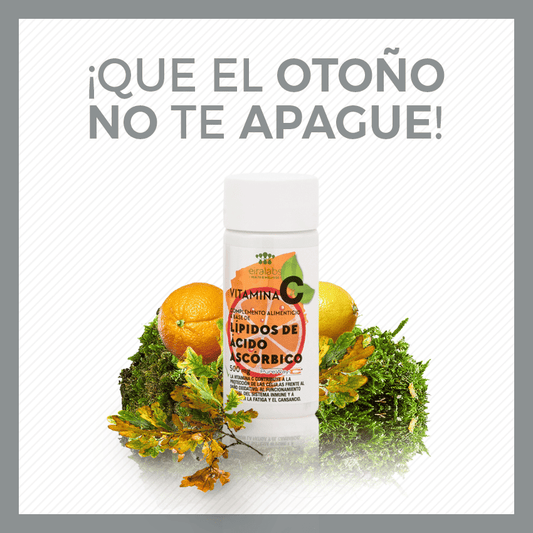 omega 3 a base de aceite de krill