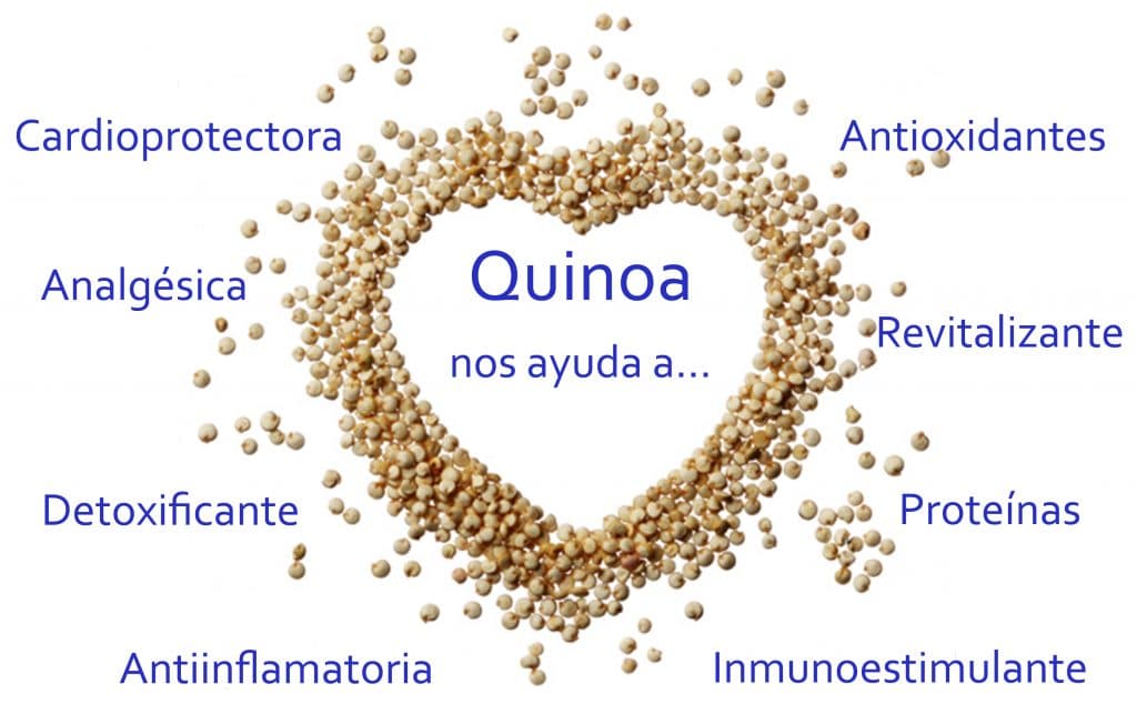 beneficios quinoa1 1