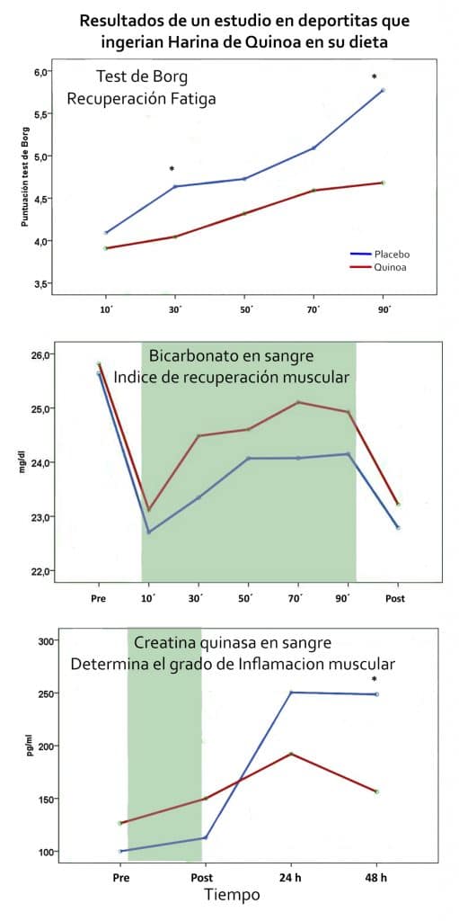 Quinoa: Esa gran desconocida y que tanto nos puede aportar 10 estudios quinoa y deporte 1