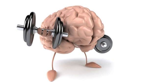 Quinoa: Esa gran desconocida y que tanto nos puede aportar 11 la psicologia en el deporte 607x335 2